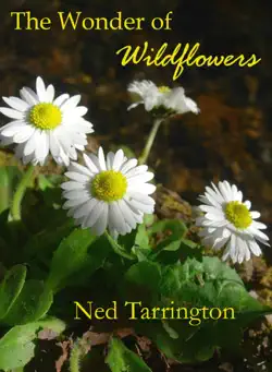 the wonder of wildflowers book cover image
