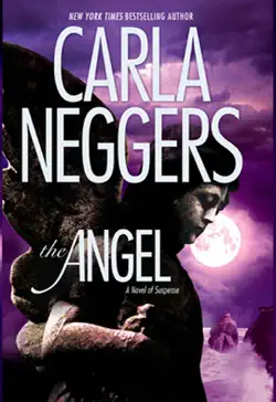 the angel imagen de la portada del libro