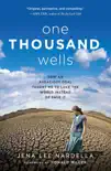 One Thousand Wells synopsis, comments
