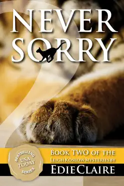 never sorry book cover image