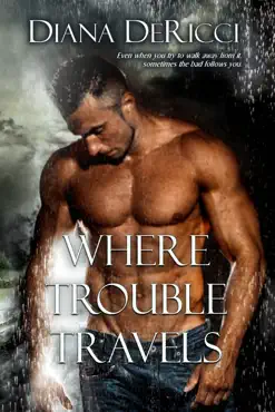 where trouble travels book cover image