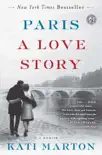 Paris: A Love Story sinopsis y comentarios