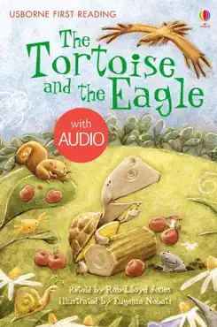 the tortoise and the eagle imagen de la portada del libro