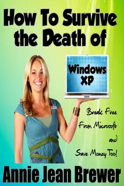 how to survive the death of windows xp book cover image