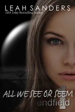 all we see or seem book cover image