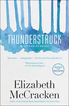 thunderstruck & other stories book cover image