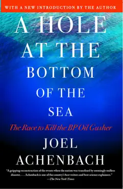 a hole at the bottom of the sea book cover image