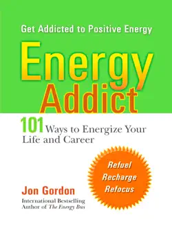 energy addict book cover image