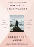 Looking at Mindfulness synopsis, comments