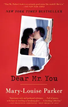 dear mr. you book cover image