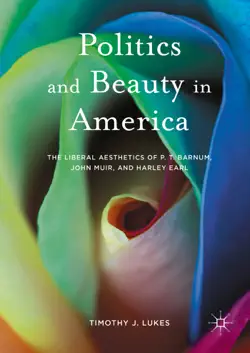 politics and beauty in america book cover image