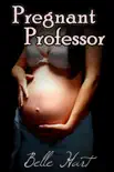 Pregnant Professor synopsis, comments