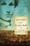 Letters from a Slave Boy synopsis, comments