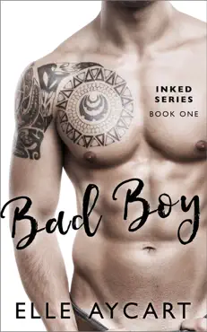 bad boy (more than meets the ink) book cover image