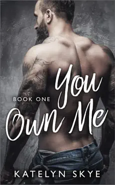 you own me book cover image