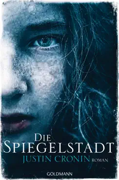die spiegelstadt book cover image