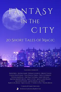 fantasy in the city book cover image