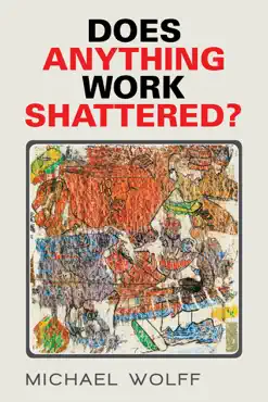 does anything work shattered? book cover image