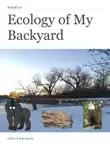 Ecology of My Backyard synopsis, comments