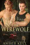 The Wizard and The Werewolf synopsis, comments
