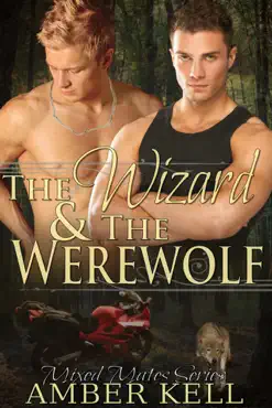 the wizard and the werewolf book cover image