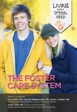 the foster care system book cover image