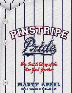 pinstripe pride book cover image