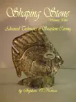 Shaping Stone Vol Two, Advanced Techniques of Soapstone Carving synopsis, comments