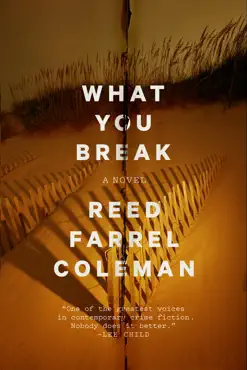what you break book cover image