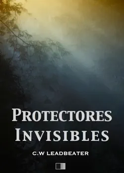 protectores invisibles book cover image