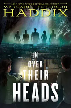 in over their heads book cover image