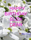 Happy Birthday Eliza Dear synopsis, comments