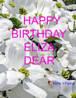 happy birthday eliza dear book cover image
