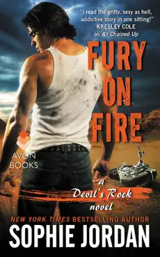 fury on fire book cover image