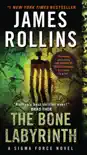 The Bone Labyrinth synopsis, comments