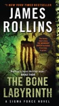The Bone Labyrinth book summary, reviews and download