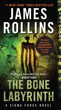 the bone labyrinth book cover image