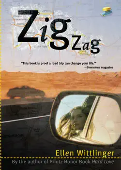 zigzag book cover image