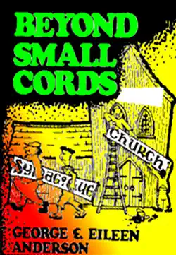 beyond small cords book cover image