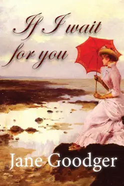 if i wait for you book cover image