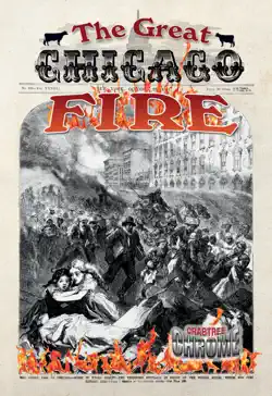 the great chicago fire book cover image