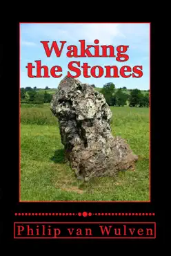 waking the stones book cover image