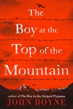 the boy at the top of the mountain book cover image