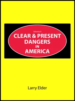 clear and present dangers in america book cover image