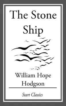 the stone ship imagen de la portada del libro