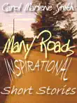 Many Roads: Inspirational Short Stories sinopsis y comentarios