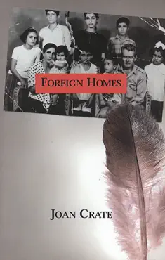 foreign homes book cover image
