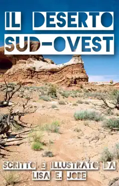 il deserto sud-ovest book cover image