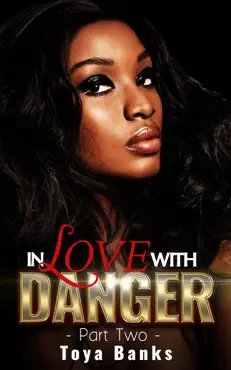in love with danger 2 book cover image