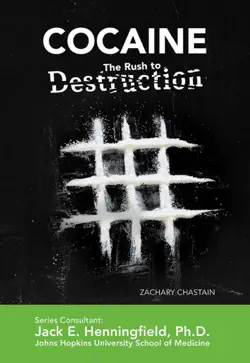 cocaine: the rush to destruction imagen de la portada del libro